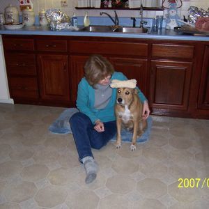 Meet your Posher, Dawn